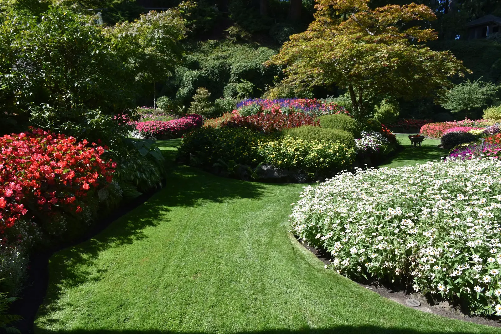 Landscaping project by J & A Ground Maintenance