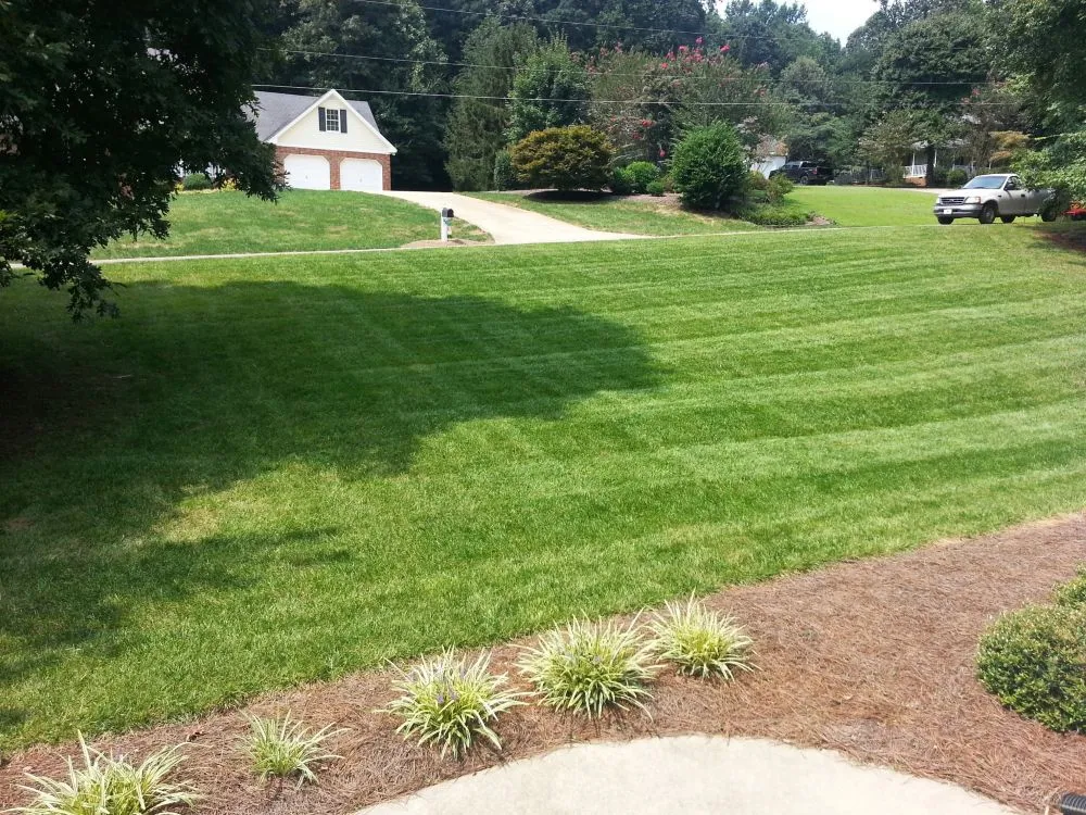 Full Property Lawn Care: Lawn Maintenance. Completed project by J & A Ground Maintenance.