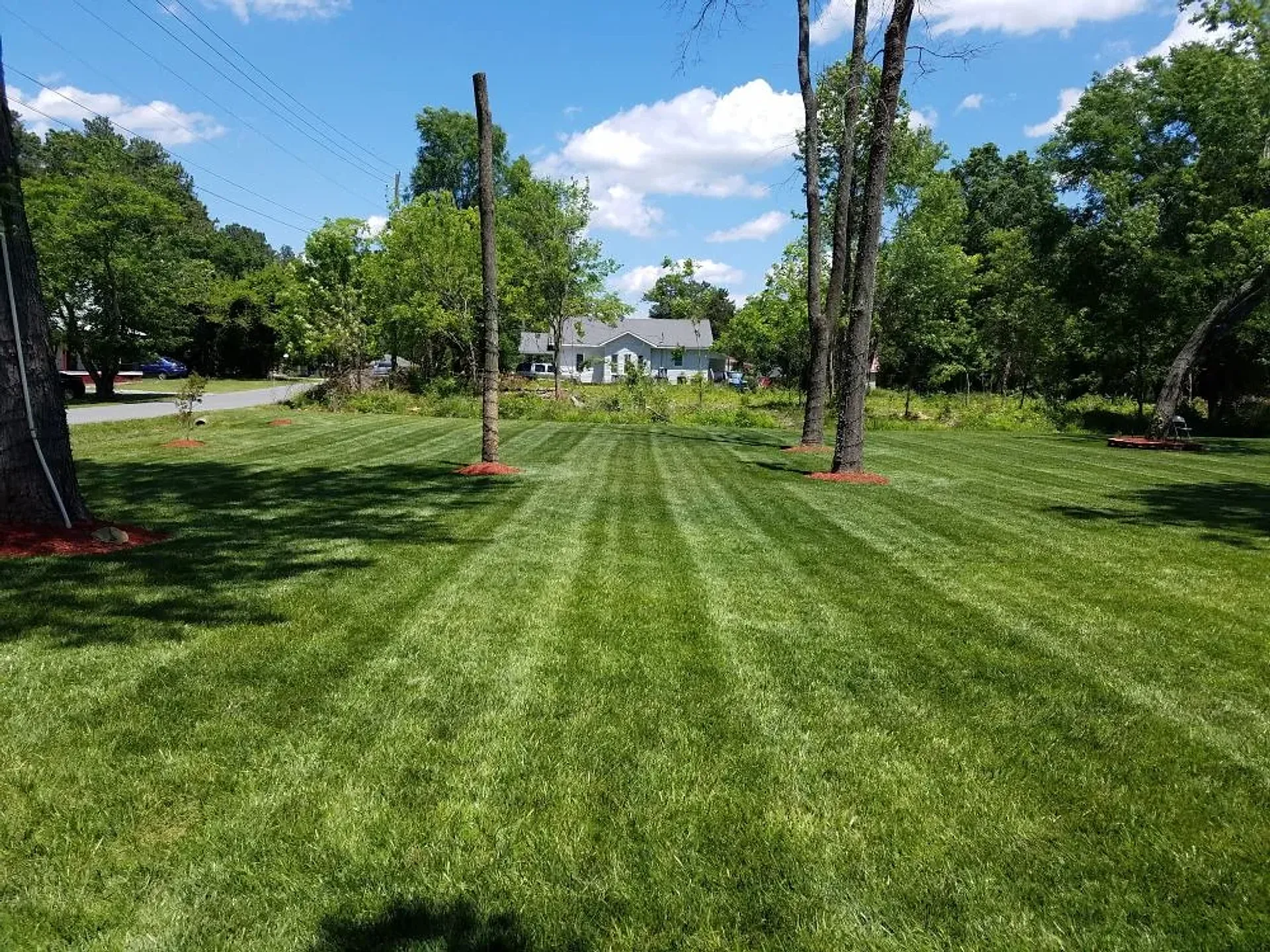 Lawn Maintenance installation project by J & A Ground Maintenance